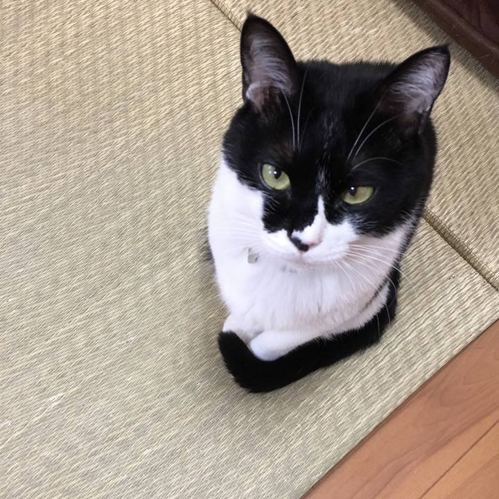 0571dab7 030d 424d 80d0 b11444e506e6