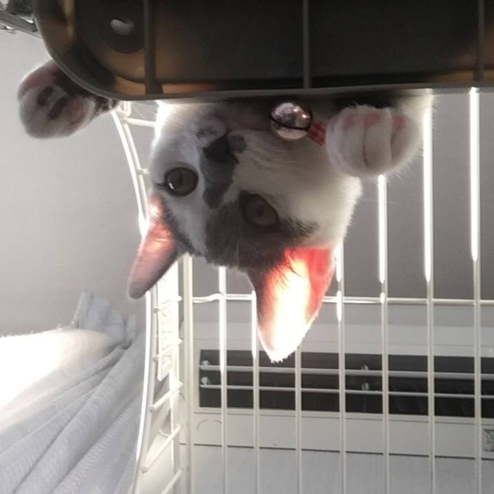 0571f8b4 81a4 41ee 83a2 21f9c0fe4d47