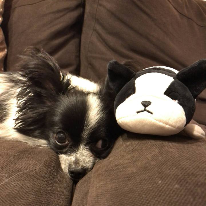 05722b75 e627 42a9 9dfb da7b5ffea0d5