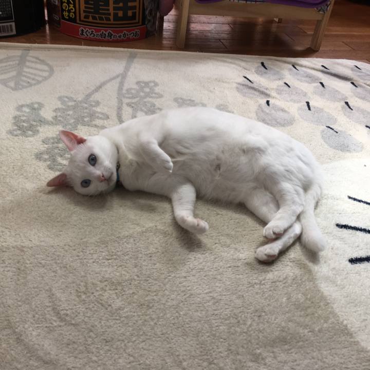 0572455e c413 46c2 918e 171457fc8ae8