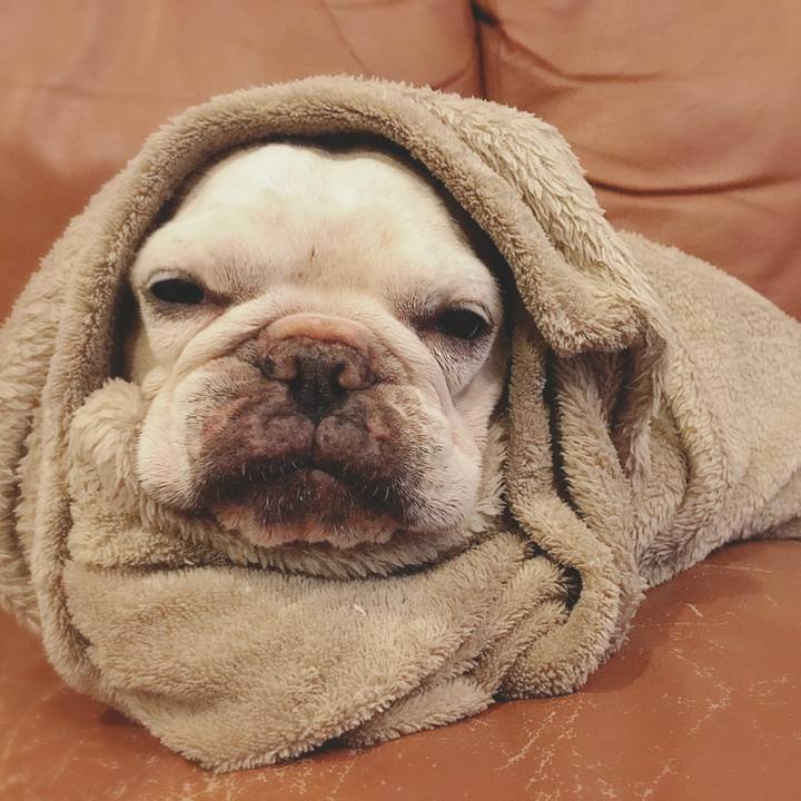 05724cd1 4f64 4b62 a075 e8ff440cb9fe