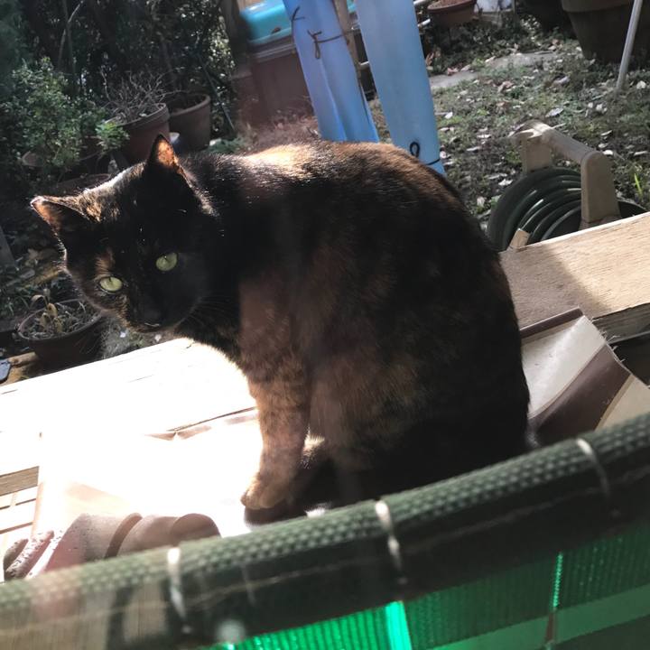 057267f2 47c7 4c63 bbc4 0c8aa5cdae9b