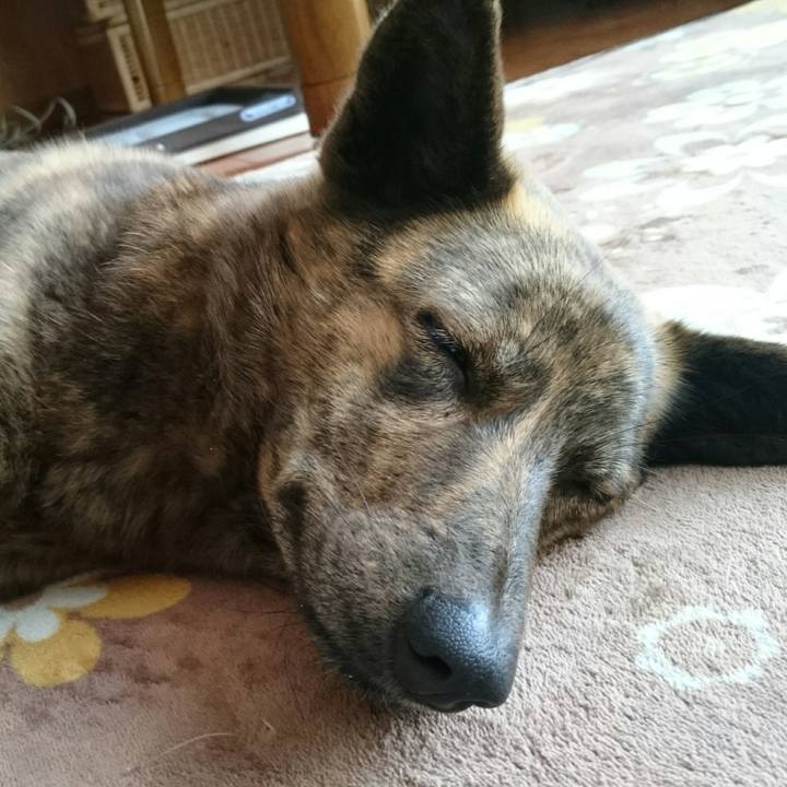 0573090e 4300 44c2 8508 c02483866fd8