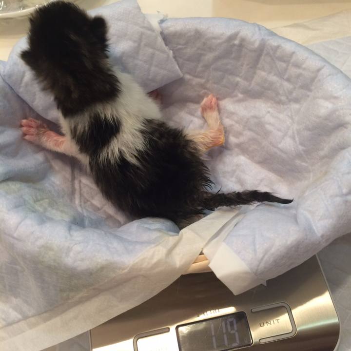 05731fa2 8fcc 446d 961f 24ea388c7fb3