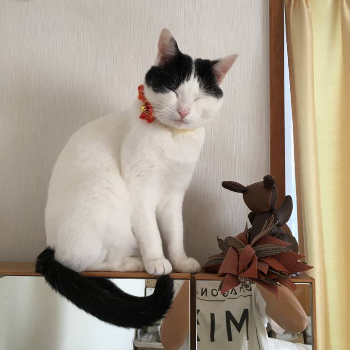 0573a09f 4ad1 4a43 9dfe 4be0892a4748