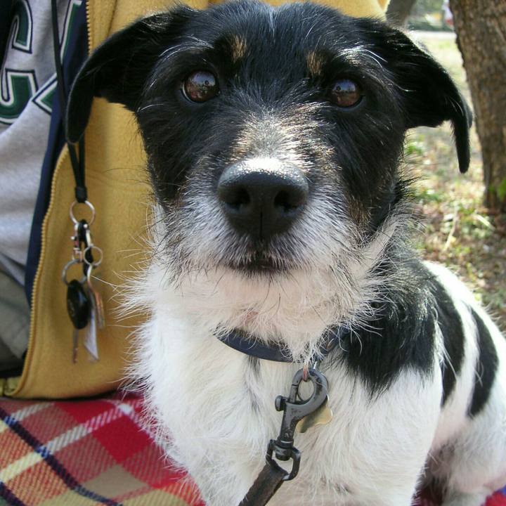 05742364 df72 4ce2 8101 c95ed5f78e35