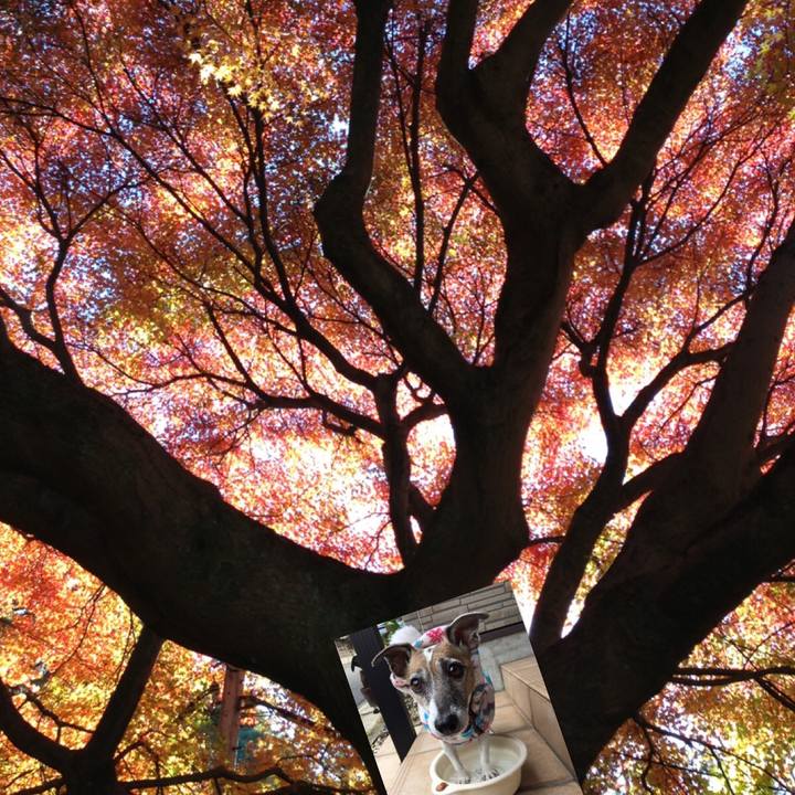 05743d48 2c55 495a 9133 e5bf2731a704