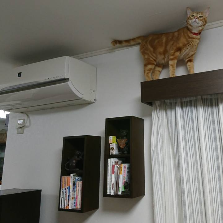 057455f6 cd60 41bc a895 2cce7fc2588c