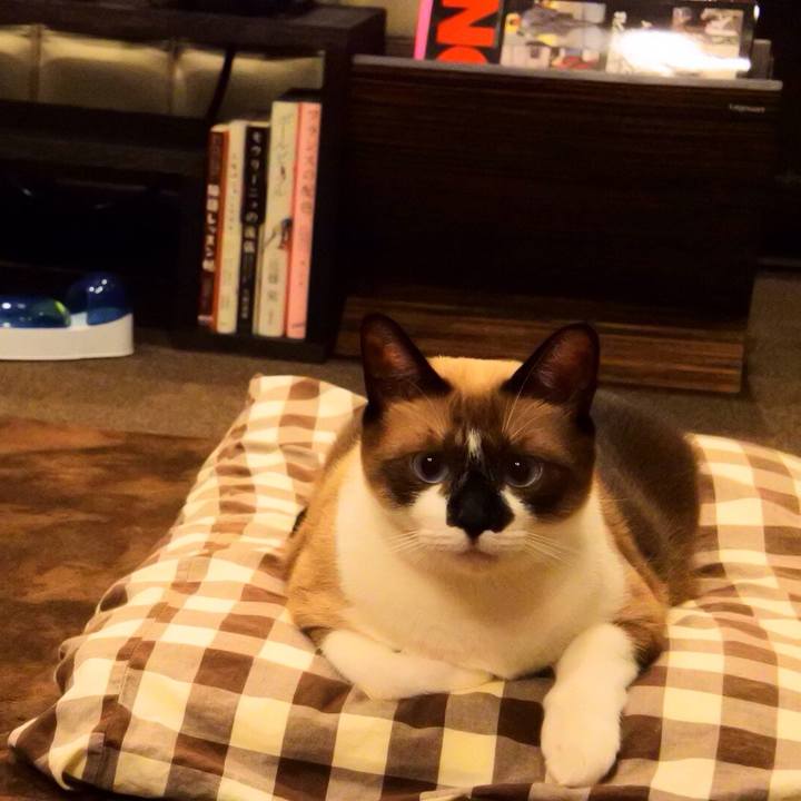 0574bfa5 2490 47da b29c e805e14d262e