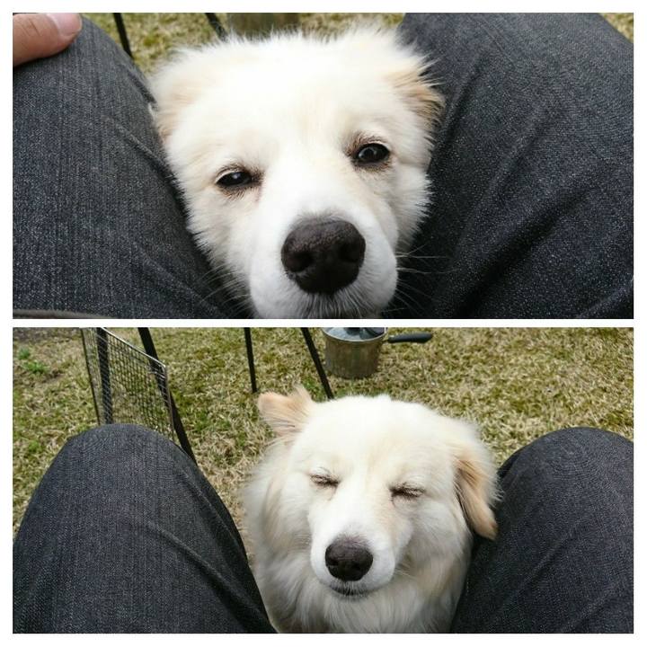 0574cc13 778e 4301 9ec3 9c7549436527