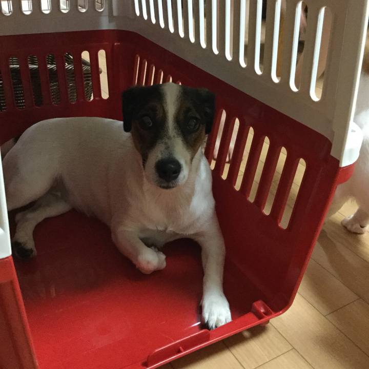 0574ef11 feb2 400f 97eb c5774d7db3dc