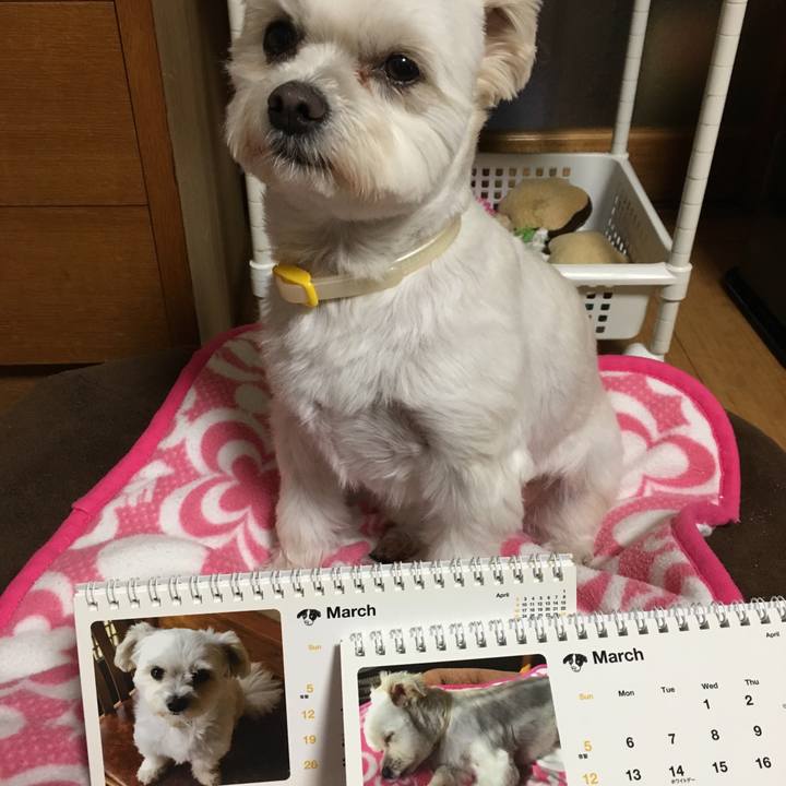 0576c92a 8fab 4897 a041 38686c8cbe74