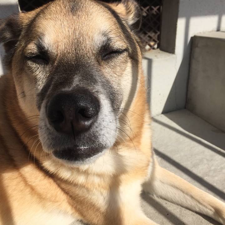 05783ff2 503b 45e8 a548 7ffff1eb25a0