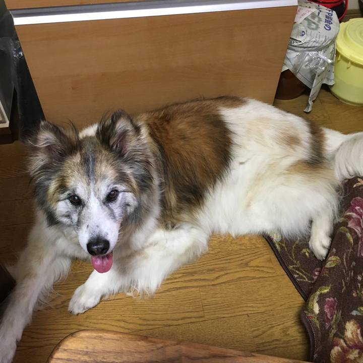 05784ca9 b8f1 410e b0a5 bb19a72aa1fd