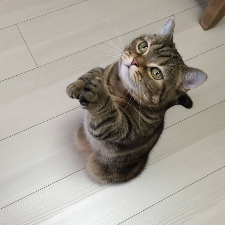 05794885 1462 427d bba7 84893d43d6d0