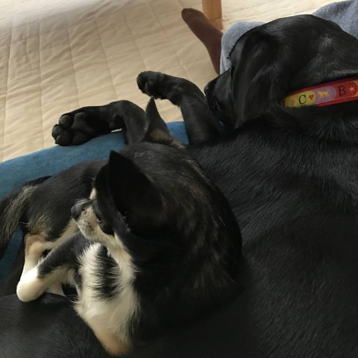 05799389 1b46 4335 855c 9e0d1c3f5bac