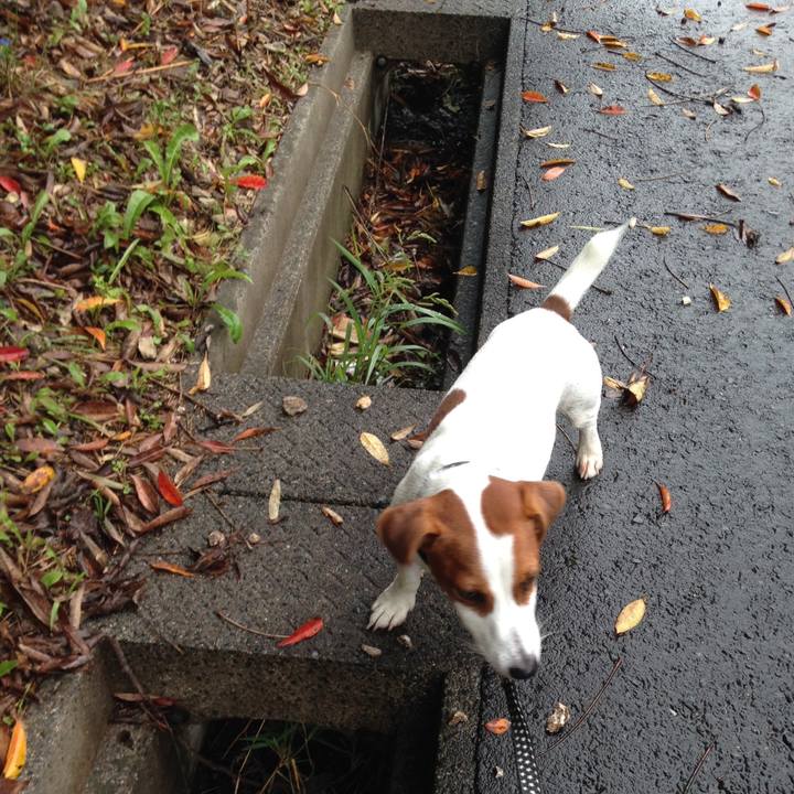 0579ed00 da7d 4ab6 806e e55dfa20712b