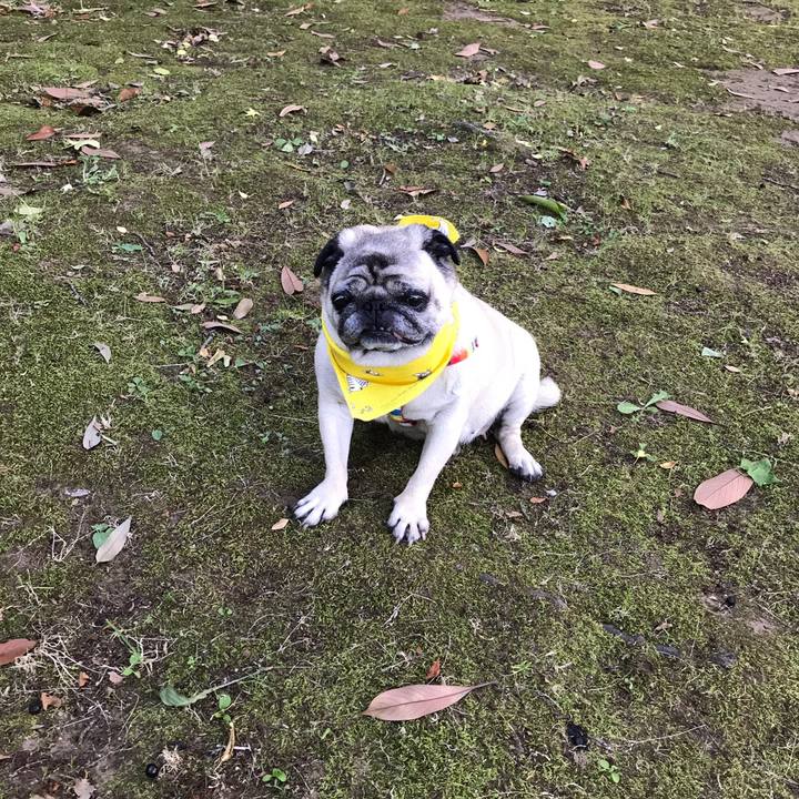 057a475c 9fb7 4755 8f25 eac634caa15e