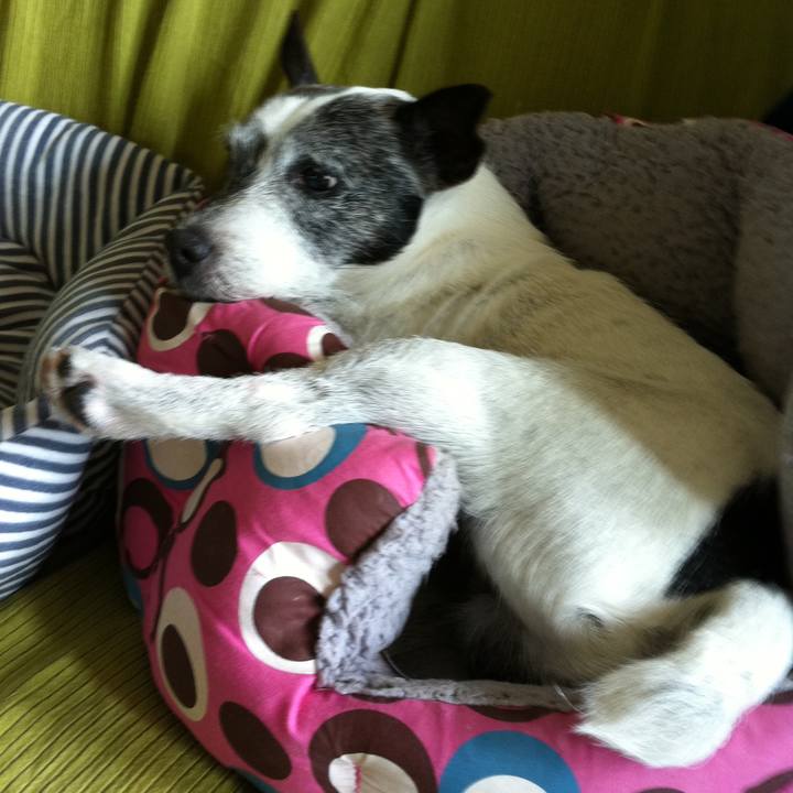 057b450e 501c 489a a0fb 27779d82c312