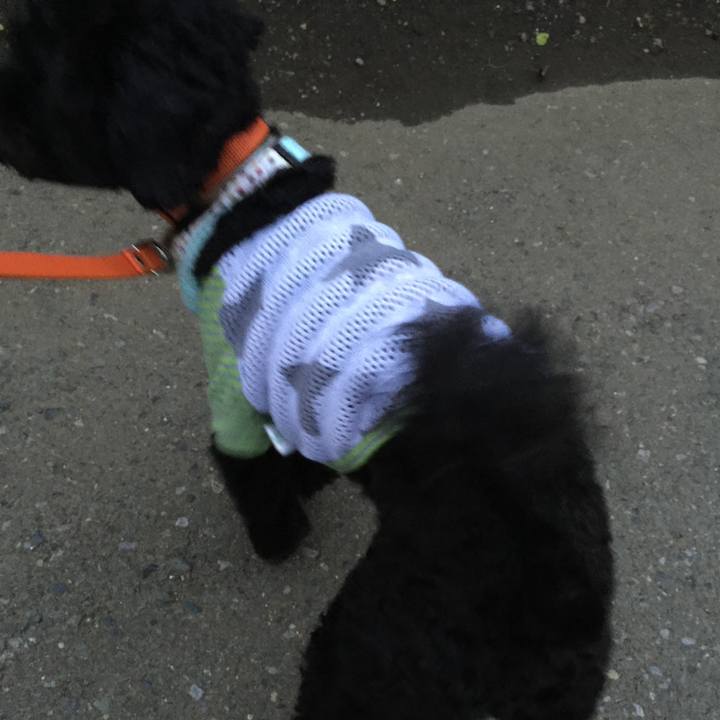 057bd554 4956 4d32 9125 9053e17c5100