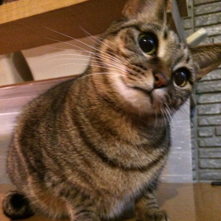 057bea09 2930 4624 a655 18dd5cdcce66