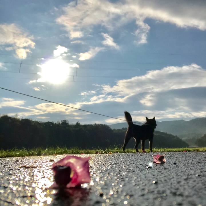 057cd9b6 98e6 4d78 94c8 fcafa978f57e