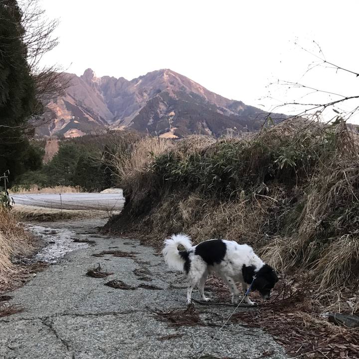 057d3912 79b6 496e 804b 35c9a2ac9a17