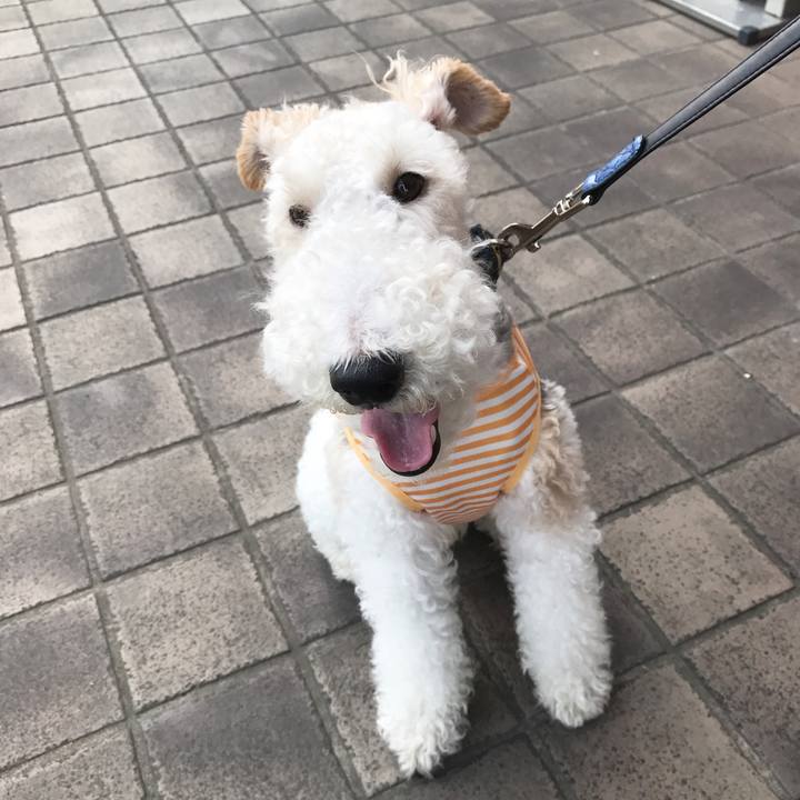 057dd6ab e3f9 4e52 903e 3551554f5419