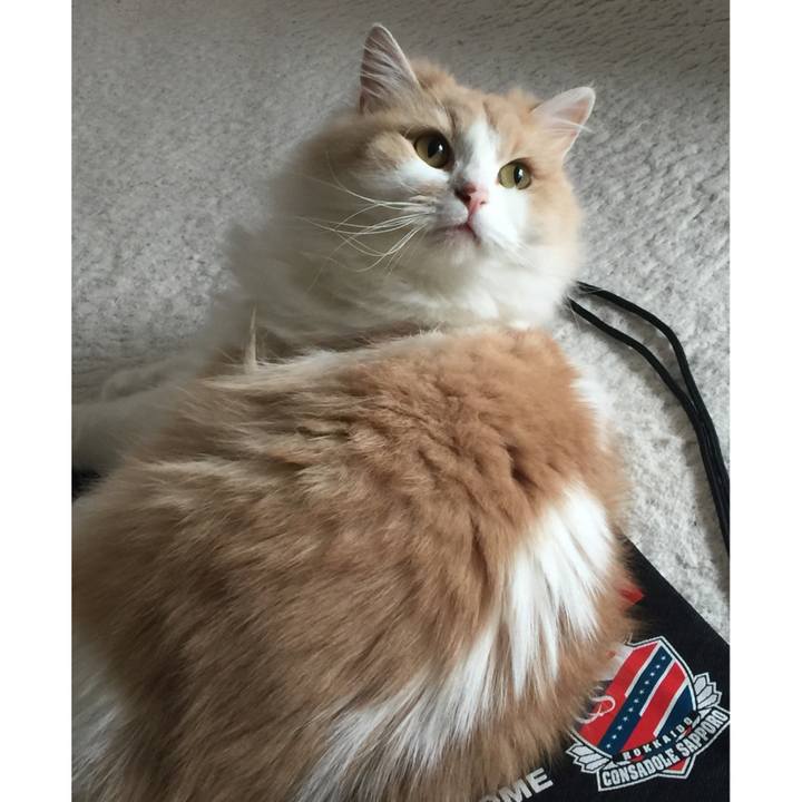 057ddce8 ee06 404c 99ae 63872231fbbb