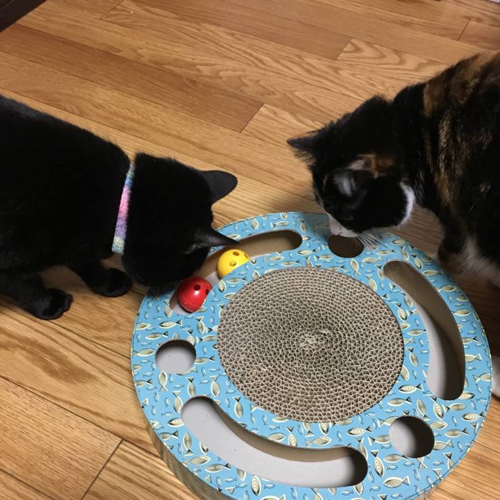 057ddefa b054 4343 9842 352bd184dcda