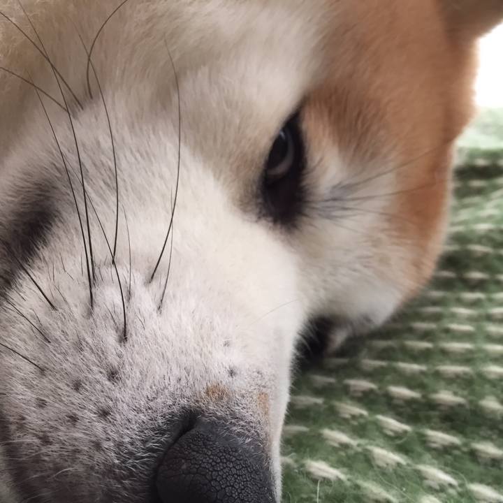 057e75f9 e267 475b 9b16 5d105dd68e06