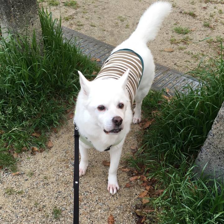 057e8056 3e6d 4d3e 8bc0 0d67053d7257