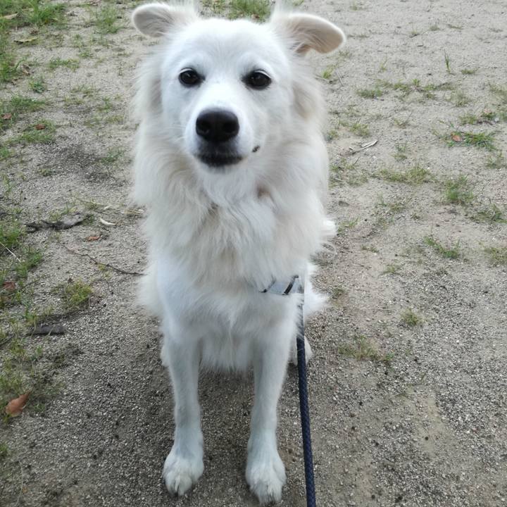 057f0555 c2ab 4ece 9735 1da8ca0e832e