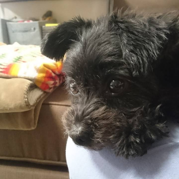 057f43eb 0731 425b 8db2 8b7495863784