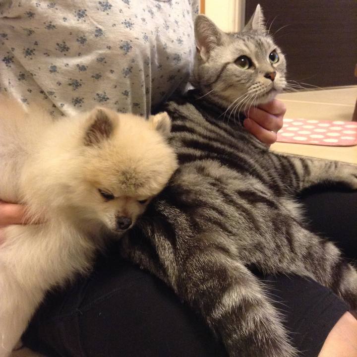 057f5594 973a 4c22 b8a8 fc71c09eef79