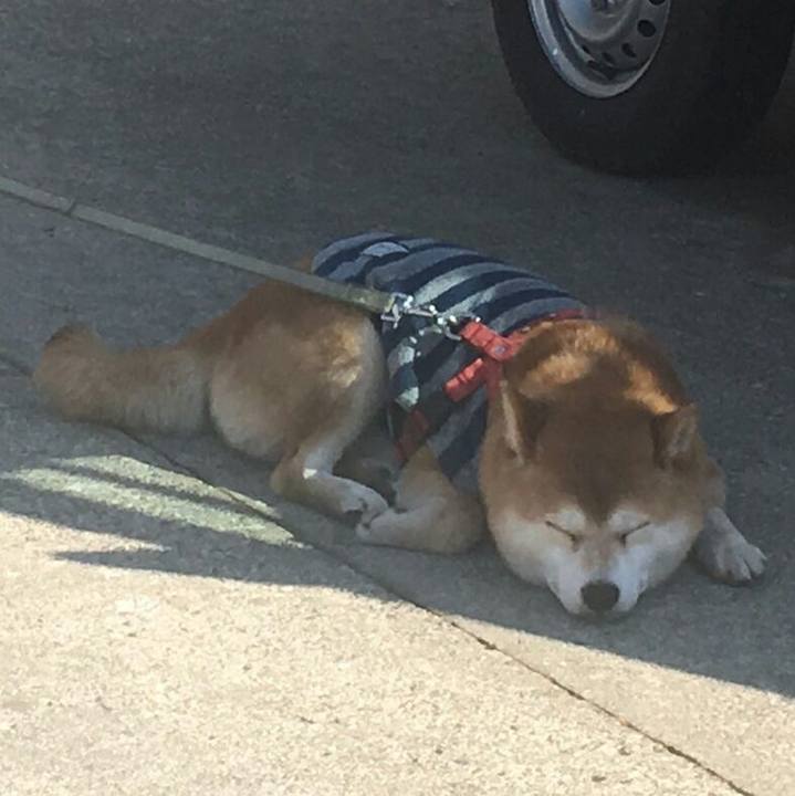 057fcf5e b8ee 4e49 8c94 f29f7b2bb1e2