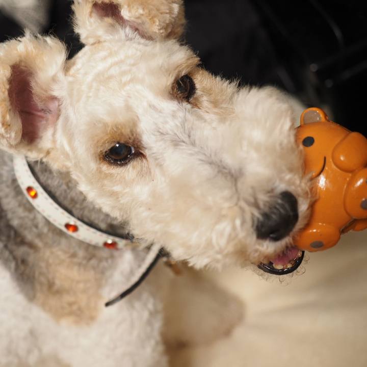 0580756c ac3d 4a38 9901 266b52d9280c