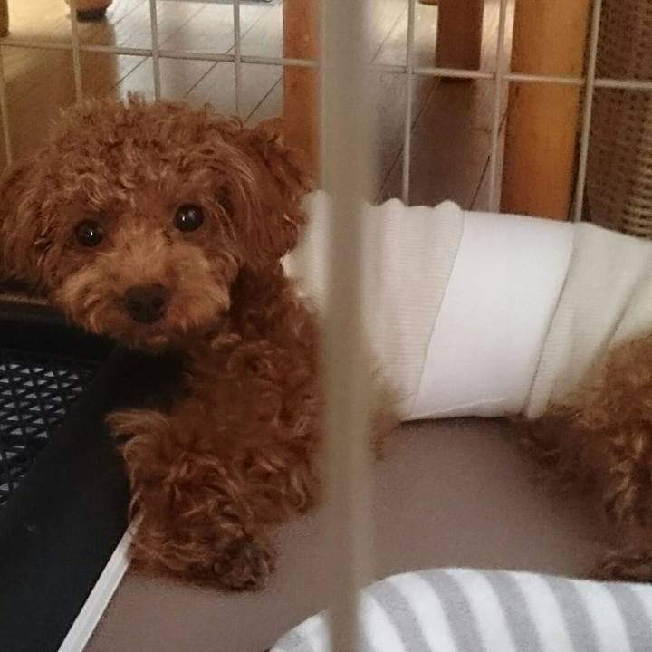 05809a21 7289 4503 8ef6 756d42b2fe3b