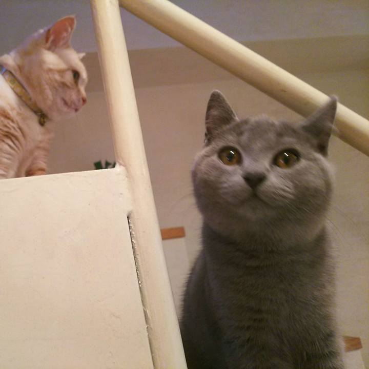 0580d9cc 0b11 4249 8389 6be01c148dde