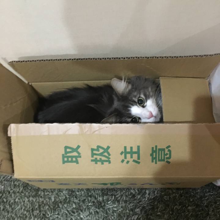 058108f2 09ce 470a 936c 53f202f38128