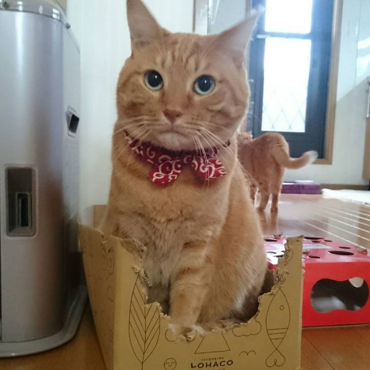 05814843 ebe9 46e7 bfec c412d6667a47