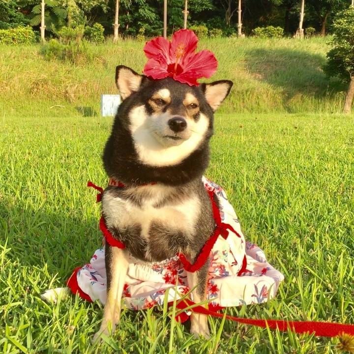 05817efc daac 4784 83a2 e52805295c6e