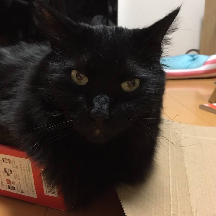 05822370 fb68 43cc a804 feeeb56d83da