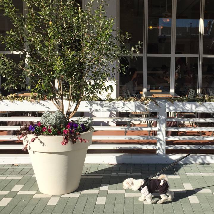 0582bce5 8f5f 4f4c aafc 42c03a45664c