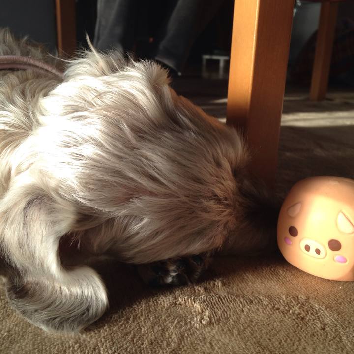 05830d48 555b 4117 a6d5 603431b42e96