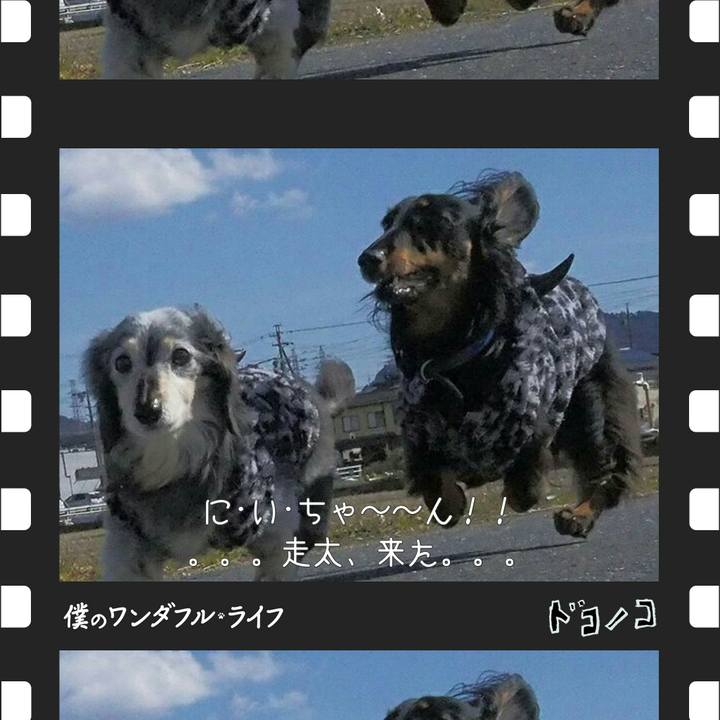 0584fc82 6f20 4fb2 9257 ebce8343da57