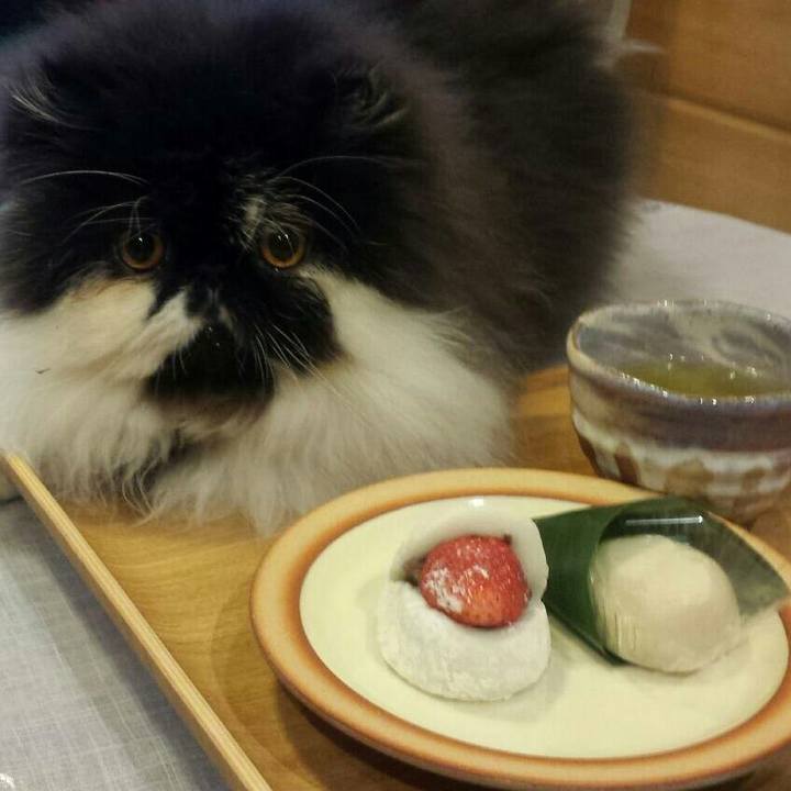 058559b1 f42e 4cc7 a2e6 1ffc8bd916f2