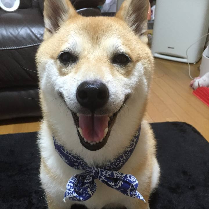 05857ca4 63ed 4447 ac34 5f85081fe4b1