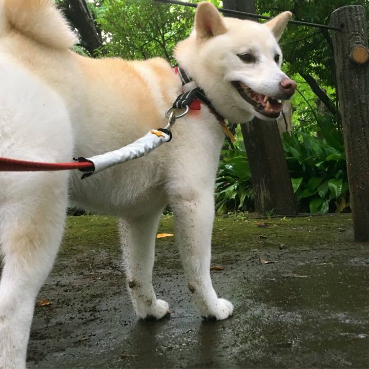 058655c3 6b62 4569 b90a aef24f1b4498