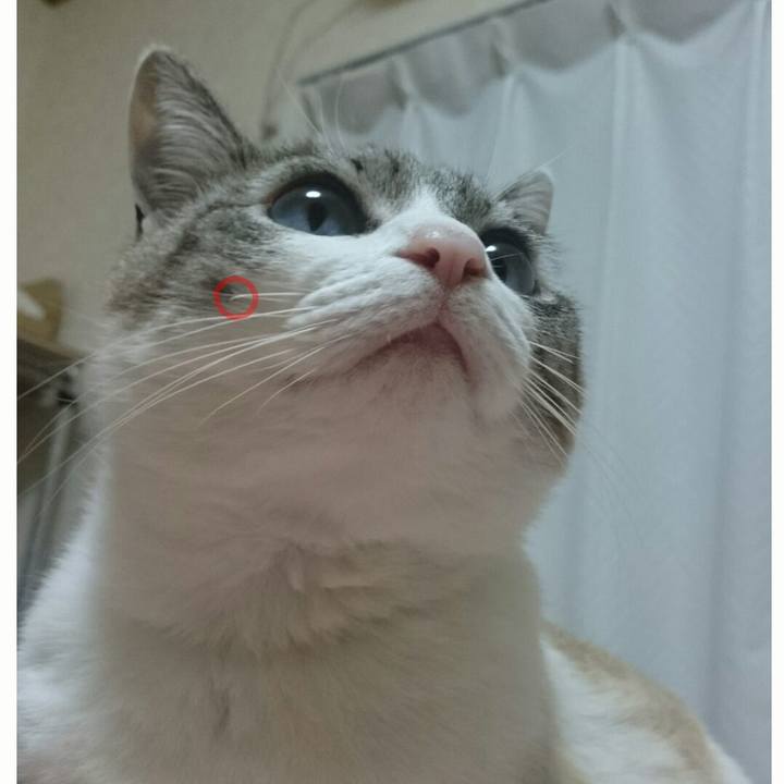 05867560 853e 4f9b 9f7d 87e4a1dbe412